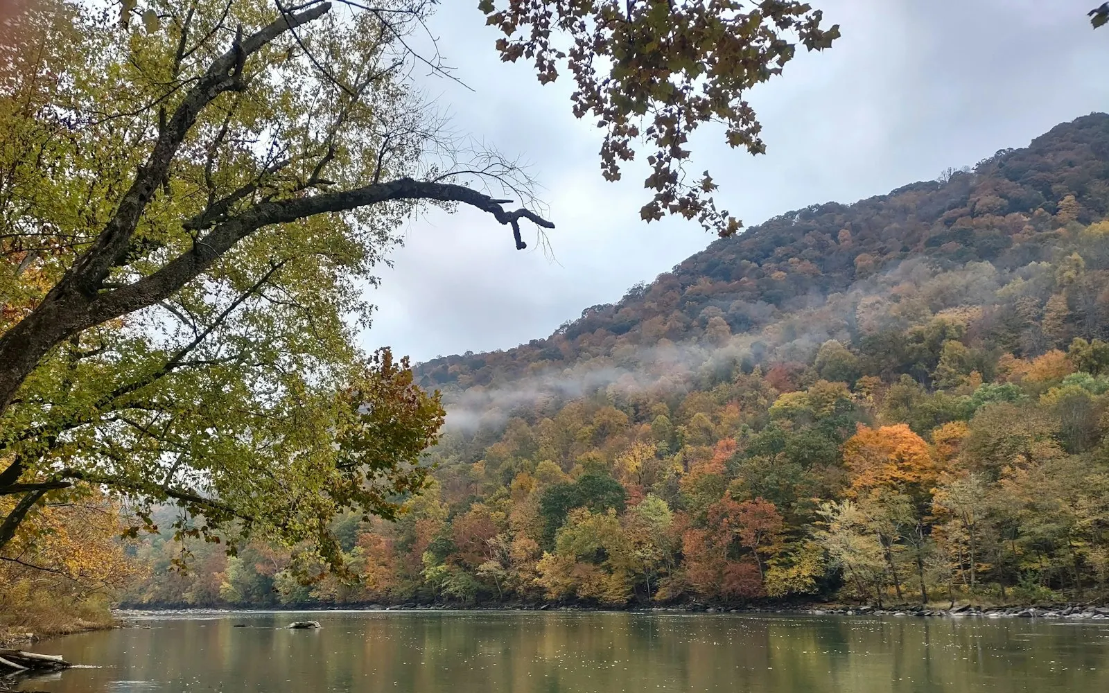 Wooded shoreline near Fort Belvoir