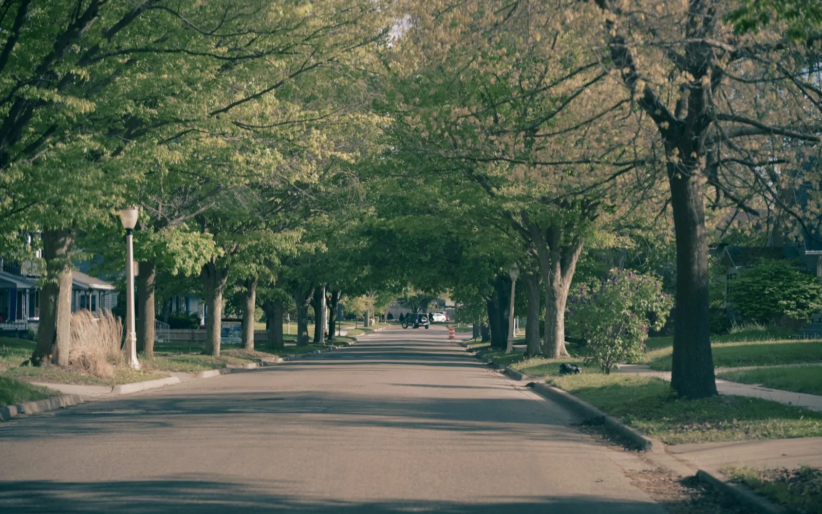 Tree-lined residential street in Fairfax