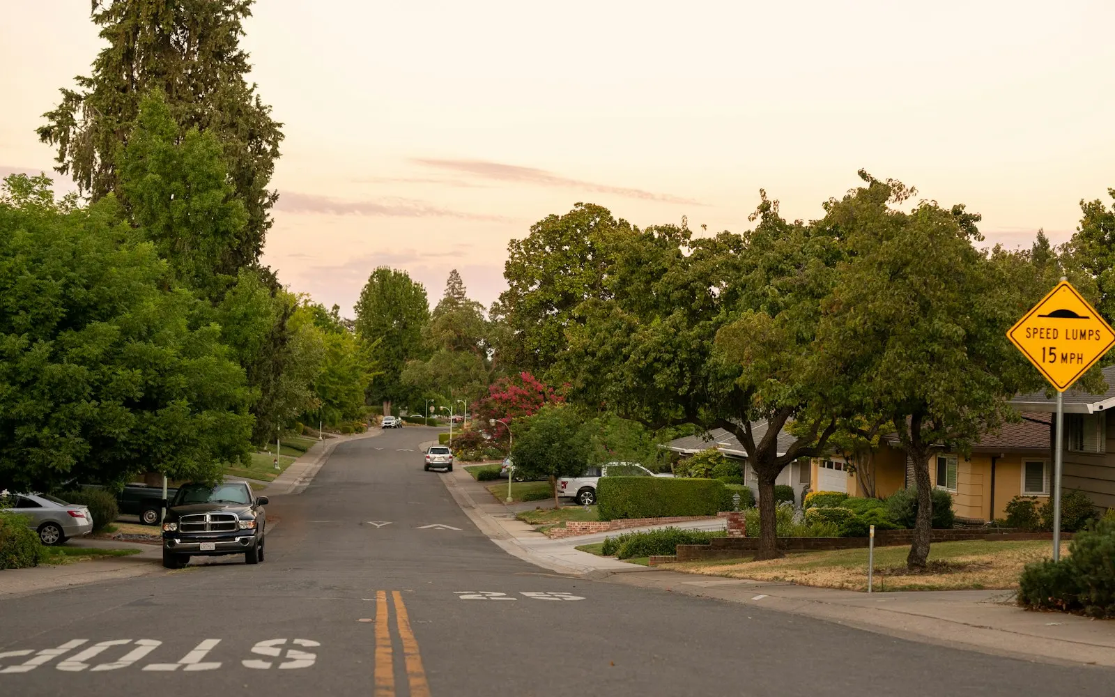 Neighborhood street in Falls Church